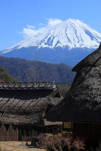 从西湖 iyashino 佐藤 nenba 富士山的视图