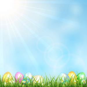 阳光背景草和鸡蛋