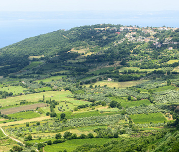 Montefiascone 博尔塞纳的湖