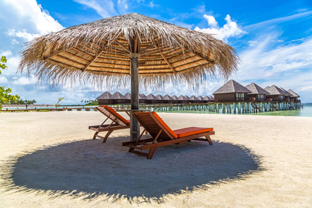 海龟在浮木上晒日光浴图片