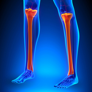 胫骨妇女在她的腿上涂奶油和胫骨在家里黑 thighed grosbeak