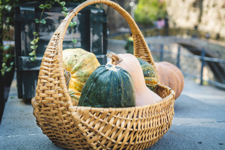 篮子里的南瓜图片