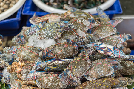 鲜生海花蟹 梭子蟹梭子蟹 在海鲜市场或泰国街头食品中出售的优质级显示烹调蒸烫的蟹