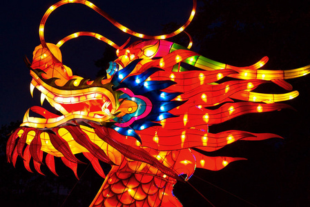 中国龙灯笼图片