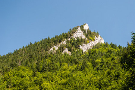 峰值与森林