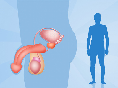 生殖器图片 生殖器素材 生殖器插画 摄图新视界 生殖器图片 生殖器素材 生殖器插画 摄图新视界