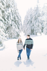 年轻夫妇走在下雪的冬天森林, 一起度过圣诞假期