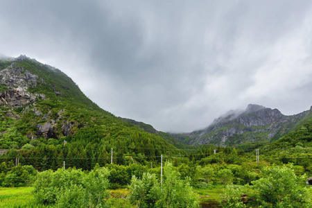 美丽斯堪的纳维亚风景与草甸和山。罗弗敦群岛, 挪威