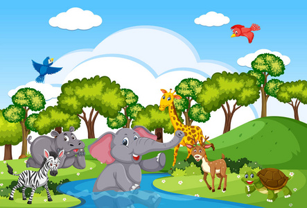 动物风景插画图片