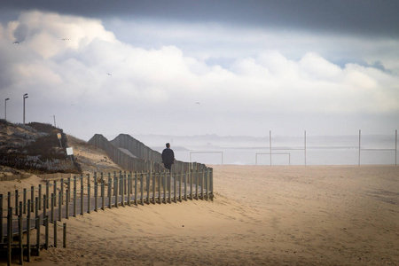 远处的背面视图照片
