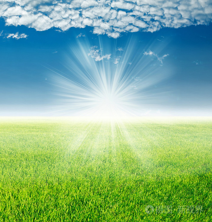 春初升的太阳照射下的景观绿草