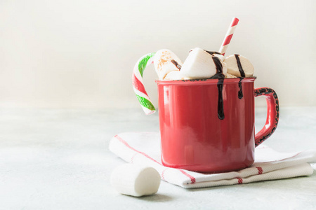 杯热巧克力和可可粉与圣诞冷杉树枝在白色的桌子上。圣诞节假期