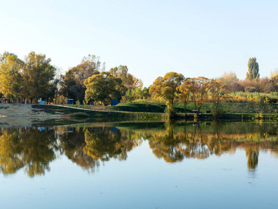 城市公园的正宗秋景池塘。黄叶飘落