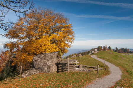 风景与绿色草甸在卢塞恩湖之上, 附近山 Rigi, 阿尔卑斯, 瑞士