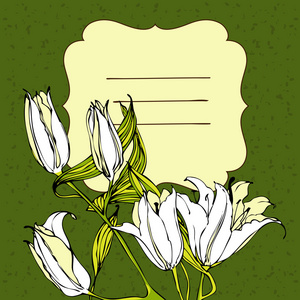 黄色小百合图片