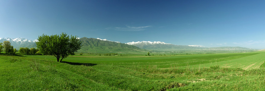 全景山景观