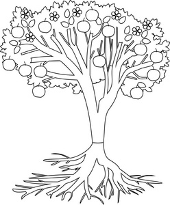 着色页。苹果树与根系统和果子