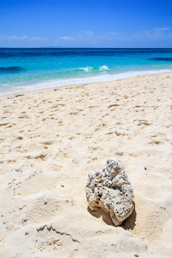 珊瑚在打击海的沙滩上