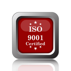 Iso9001 图标。白色背景上的互联网按钮