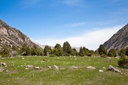 landcscape 高山区。在字段中景观