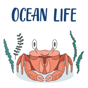 海蟹卡通插图与海藻周围
