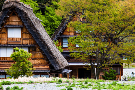 传统和历史的日本村町白川乡 日本