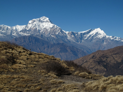 道拉吉里和 tukuche 峰