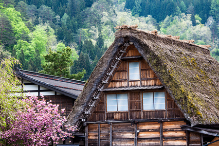 传统和历史的日本村町白川乡 日本