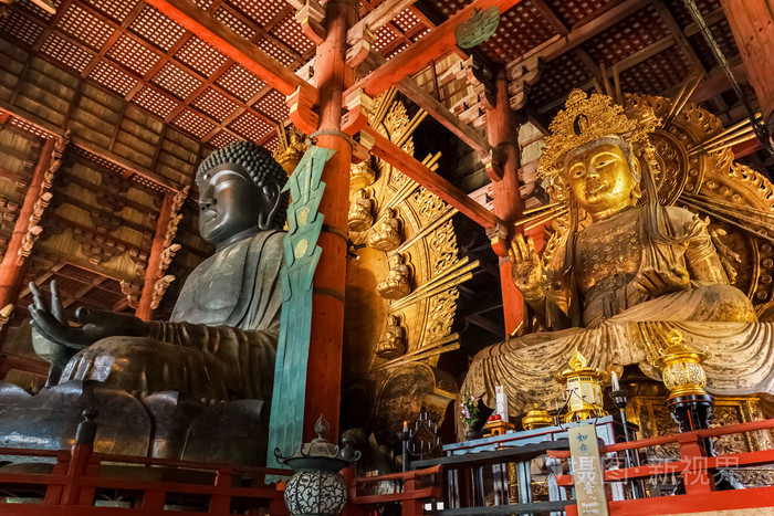 与nyoirin 在奈良的东大寺观音大佛