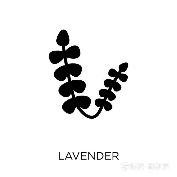 薰衣草图标薰衣草符号设计从自然收藏简单的元素向量例证在白色背景