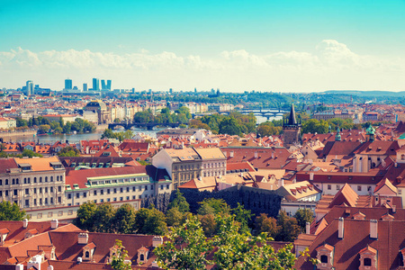 在夏季阳光明媚的日子里, 捷克, 欧洲, 布拉格的全景