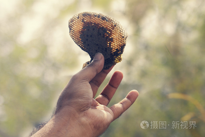 蜂窝纸板在人的手