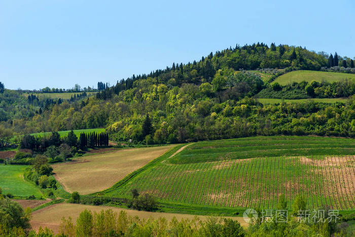 风景如画的山林景色, 有葡萄园和森林
