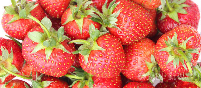 新鲜成熟草莓, 健康甜点和营养概念