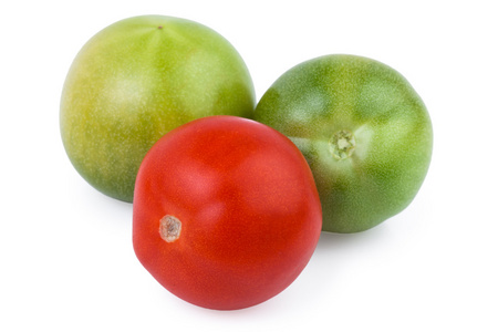 绿色和红色番茄