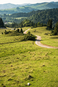 波兰 Pieniny 山污迹路