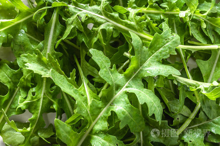 新鲜的芝麻菜叶子, 背景与绿色蔬菜, 有机食物和素食饮食概念