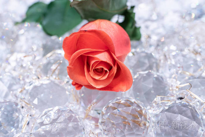 闪闪发光的水晶上的红玫瑰