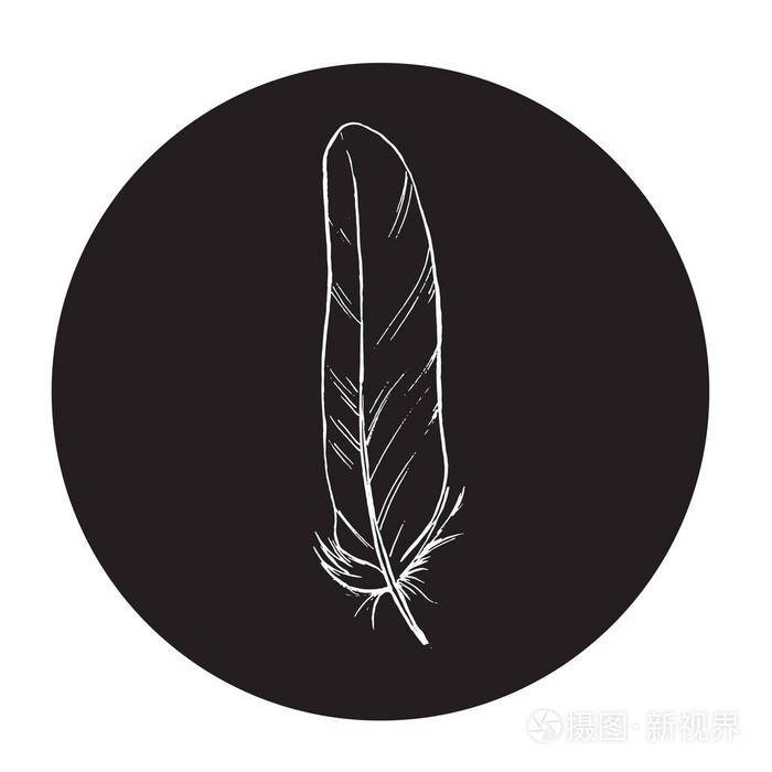 详细的矢量轮廓羽毛在一个黑色圆圈.简洁和时尚的插图.单色矢量