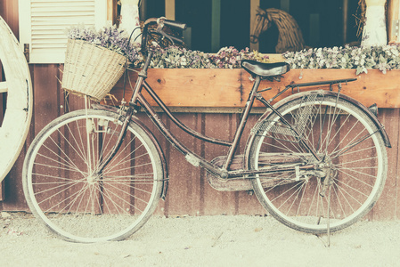老式自行车用鲜花