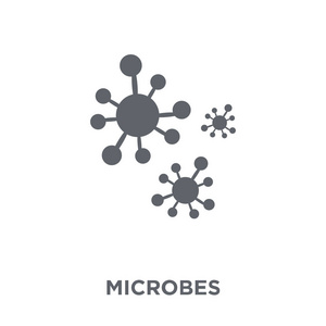 微生物图标。微生物的设计理念从卫生收藏。简单的元素向量例证在白色背景