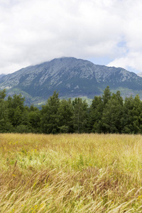 论斯洛伐克高 Tatras 的山峰和高山景观