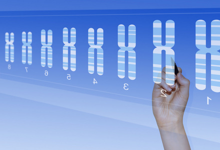 生物医学分析的遗传异常的染色体研究