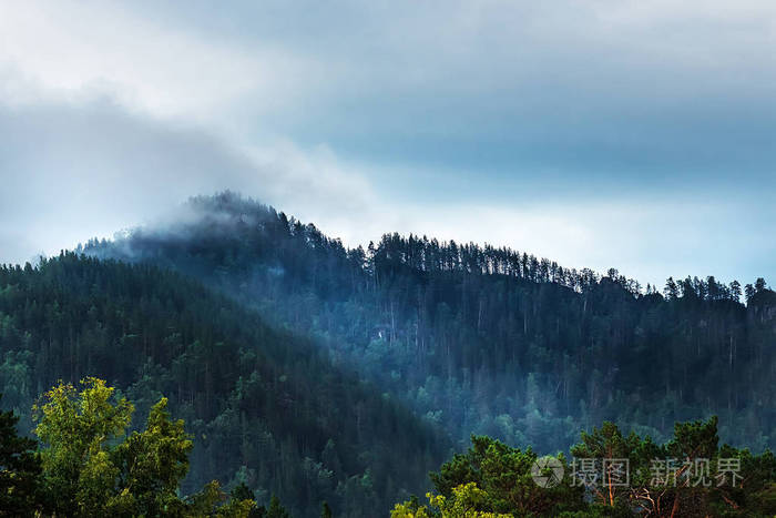 在山顶上形成了雾, 上面覆盖着深色针叶林。阿尔泰山, Katun 河地区, 西伯利亚南部, 俄罗斯