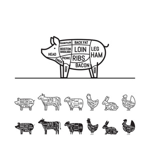 图为屠夫商店猪。切肉。动物剪影, 猪, 母牛, 羊肉, 鸡肉, 火鸡, 兔子。矢量插图