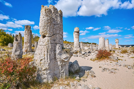 石沙漠 Pobiti 卡玛尼保加利亚瓦尔纳省，神话般的岩石现象