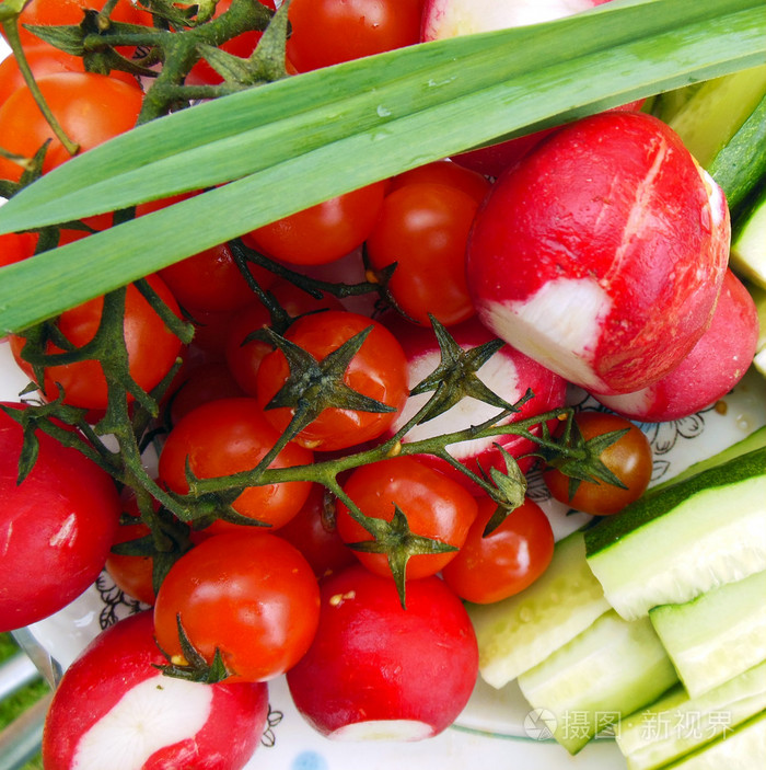 萝卜黄瓜番茄绿党