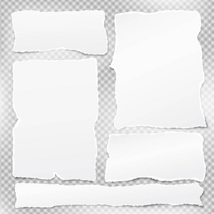 一套白色撕纸条, 撕纸的文本或消息是在灰色的平方背景。向量例证