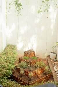 passirovannogo 由木材制成的具有观赏植物的级联花园。庭院, 公园, 庭院的装饰和装饰