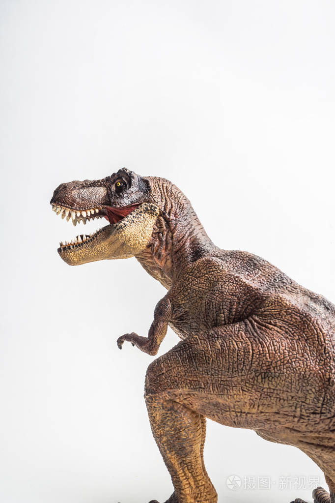 恐龙, 霸王龙, 白色背景暴龙照片-正版商用图片09x1bf-摄图新视界